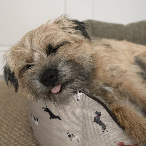 Sophie Allport Woof Pet Bed - Small