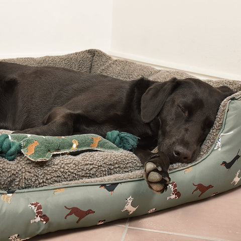 Sophie Allport Fetch Pet Bed - Small