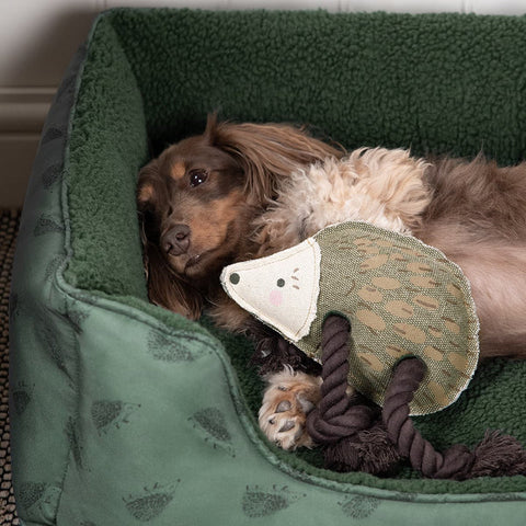 Sophie Allport Small Pet Bed - Hedgehog