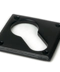 From The Anvil's Black Diamond Euro Escutcheon
