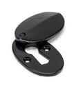 From The Anvil's Black Oval Escutcheon