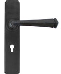 From The Anvil's Beeswax Gothic Lever Lock Set
