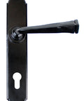 From The Anvil's Black Gothic Lever Espag. Lock Set