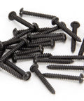 From The Anvil's Black Round Head Screws (25)