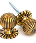From The Anvil's Aged Brass Flower Mortice/Rim Knob Set