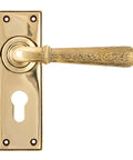 From The Anvil's Aged Brass Hammered Newbury Lever Euro Lock Set