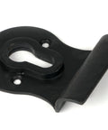 From The Anvil's External Beeswax Euro Door Pull