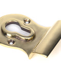 From The Anvil's Aged Brass Euro Door Pull