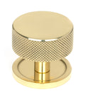 From The Anvil's Polished Brass 38mm Brompton Cabinet Knob