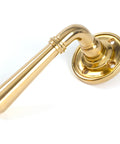From The Anvil's Polished Brass Newbury Lever on Rose Set