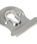 From The Anvil's Satin Marine SS (316) Euro Door Pull