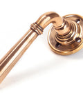 From The Anvil's Polished Bronze Newbury Lever on Rose Set