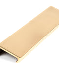From The Anvil's Aged Brass Plain Edge Pull