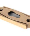 From The Anvil's Aged Brass Art Deco Euro Escutcheon Set
