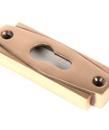 From The Anvil's Polished Bronze Art Deco Euro Escutcheon Set