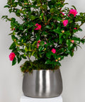From The Anvil's Satin Marine SS (316) Hepworth Pot