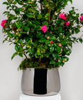 From The Anvil's Polished Marine SS (316) Hepworth Pot