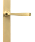 From The Anvil's Satin Chrome Avon Slimline Lever Espag. Latch Set