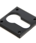 From The Anvil's Black Avon Euro Escutcheon