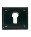 From The Anvil's Black Avon Escutcheon