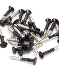 From The Anvil's Black Black SS Countersunk Raised Head Screws (25)