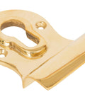 From The Anvil's Polished Brass Euro Door Pull