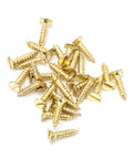 From The Anvil's Polished Brass Countersunk Screws (25)