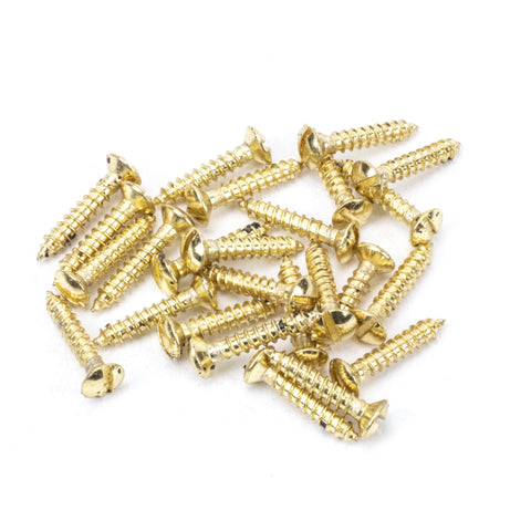 From The Anvil's Polished Brass Countersunk Raised Head Screws (25)