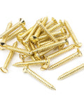 From The Anvil's Polished Brass Countersunk Raised Head Screws (25)