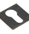 From The Anvil's External Beeswax Avon Euro Escutcheon