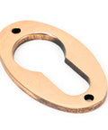 From The Anvil's Polished Bronze Oval Euro Esctucheon