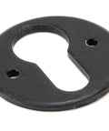 From The Anvil's External Beeswax Regency Euro Escutcheon
