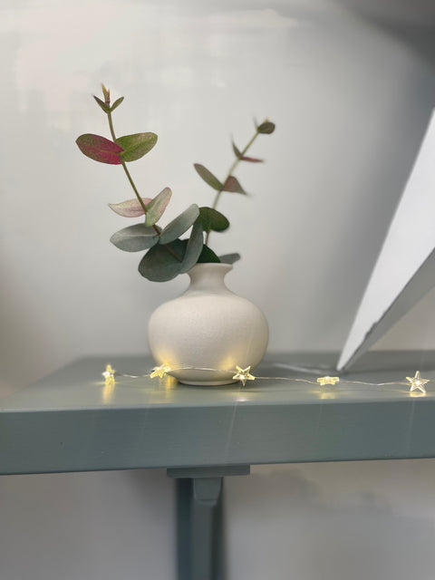 20 Warm White Star LED Lights