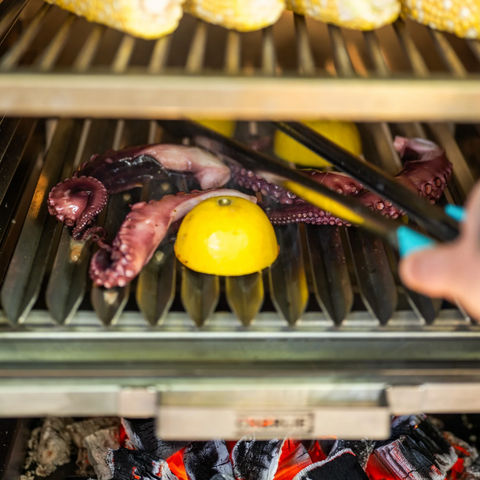 Argentine Parrilla V Grill Rack