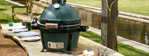 MiniMax Big Green Egg & Carrier
