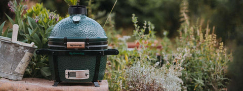 MiniMax Big Green Egg & Carrier