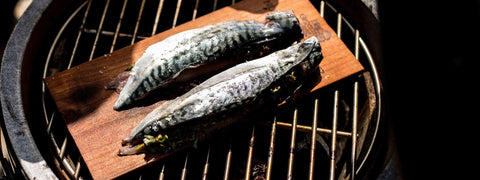 Big Green Egg - Northwest Alder Grilling Planks