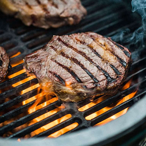 Cast Iron Searing Grid Full Sized - Large