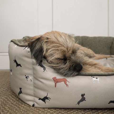 Sophie Allport Woof Pet Bed - Small