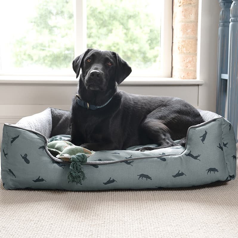 Sophie Allport Labrador Pet Bed - Large - Diss Ironworks